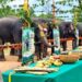 गश्त से ब्रेक, स्पेशल डाइट और नीम-अरंडी के तेल से मालिश… जानिए कैसे मनाया जा रहा है सतपुड़ा में हाथियों का हॉलिडे