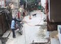 दिल्ली में 18 महीने के बच्चे पर टूट पड़ा आवारा कुत्ता… गाल का मांस नोच डाला, CCTV में कैद हुई घटना
