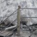 पानी भरते ही ढही टंकी, 740 नल कनेक्शन का दावा भी फेल, जल जीवन मिशन में भ्रष्टाचार का खुलासा