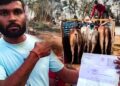 10 बैल खरीदकर लौट रहे थे आदिवासी किसान, रास्ते में गौसेवकों ने रोककर करा दी FIR, जानें पूरा मामला
