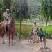 बुद्धा गार्डेन से डियर पार्क तक… कालकाजी गैंगरेप केस के बाद ‘डार्क स्पॉट्स’ में तलाशी ले रही दिल्ली पुलिस