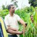 हाइब्रिड के दौर में सहेजी देसी अनाज की विरासत… मध्य प्रदेश के इन किसानों ने बनाया अनूठा ‘बीज बैंक’