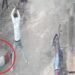 16 सेकंड में लोहे के पाइप से सिर पर 14 वार… लोगों ने रोका, फिर भी नहीं रुका, MP में दिनदहाड़े युवक की हत्या