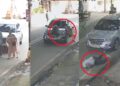 टक्कर मारी, क्रेटा से उतरी, देखा और फिर भाग गई… दिल्ली में महिला ने कार से बुजुर्ग दंपती को उड़ाया, खौफनाक वीडियो आया सामने