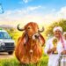 गोवर्धन पूजा से पहले 3 बड़े संकल्प, 168 नई गौ-एंबुलेंस और ₹1 लाख का पुरस्कार… CM मोहन यादव का बड़ा ऐलान