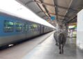 ₹450 करोड़ का स्टेशन, एयरपोर्ट जैसे इंतजाम… और प्लेटफॉर्म पर गोबर कर रहीं भैंसें! भोपाल के रानी कमलापति स्टेशन का वीडियो