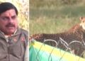 नौरादेही में छोड़े गए नर और मादा चीतों के नाम तय… मुख्यमंत्री मोहन यादव ने खुद दी जानकारी; बोले- इसी रिजर्व में टाइगर भी रहेंगे