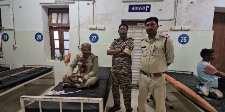 वन भूमि पर कब्जा रोकने पहुंची टीम पर हमला, युवक के ऊपर से गुजरा ट्रैक्टर का पहिया; डिप्टी रेंजर का फूटा सिर