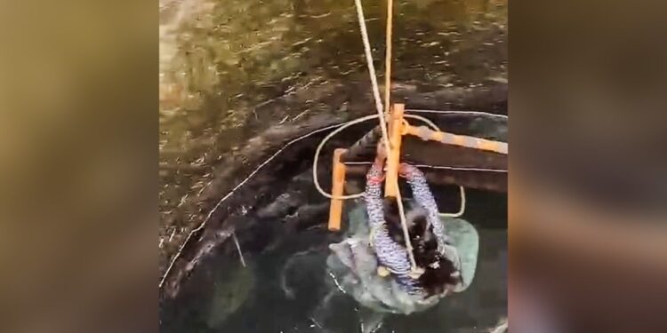 पत्नी कुएं में कूदी तो पति ने जोड़ लिए हाथ, ग्रामीणों के सामने मांगी माफी; तब जाकर बाहर आई महिला, देखें- VIDEO